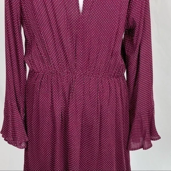 Anthropologie Le Lis Burgundy & White Polka Dot Ballet Core Dress NWOT - Picture 7 of 11